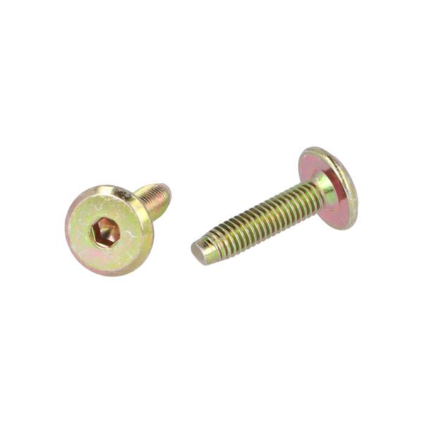 Fifteen Screw, M6x25mm (23+2), YZP, Conical, Full Thread