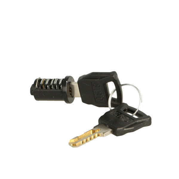 Loose MIC Cylinder #01, Black, Key to Differ, Snake CK keys