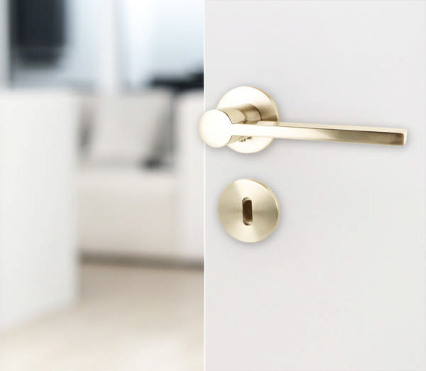 Zamak Door Handle 