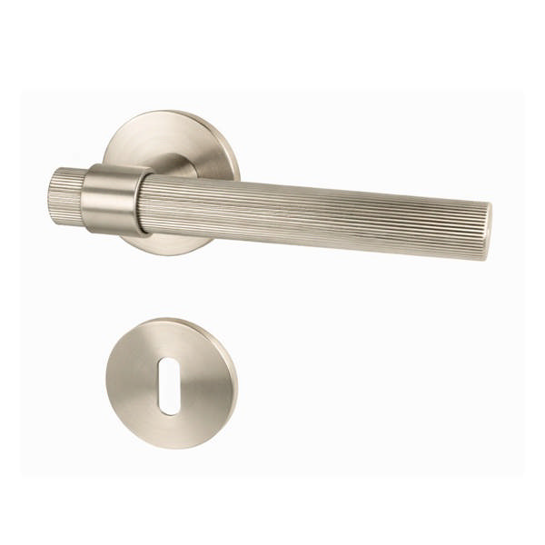 Zamak Door Handle 