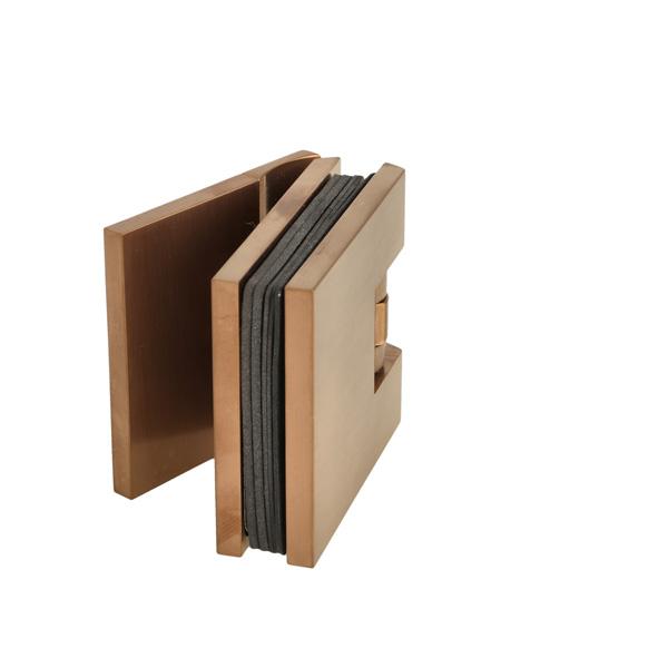 Picture10 Shower Hinge