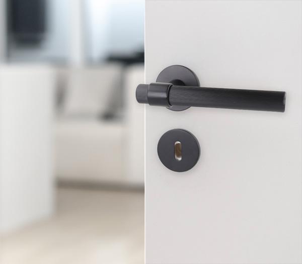 Picture2 Zamak Door Handle