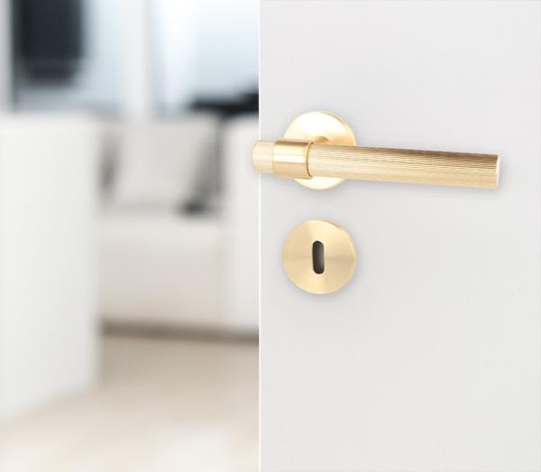 Picture2 Zamak Door Handle